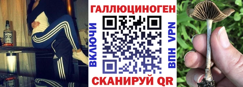 shop Telegram  Альметьевск  Галлюциногенные грибы прущие грибы 